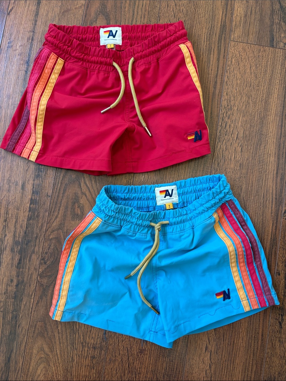 Aviator Nation Red & Turquoise Rainbow Stripe Volley Shorts